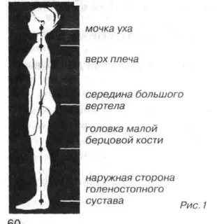 Середина плеча