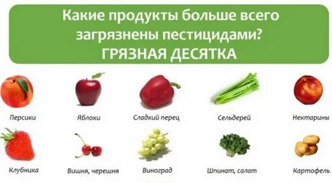 Для овощ фрукт какие документы нужно