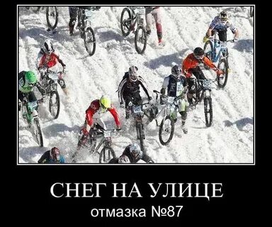 Вело статусы