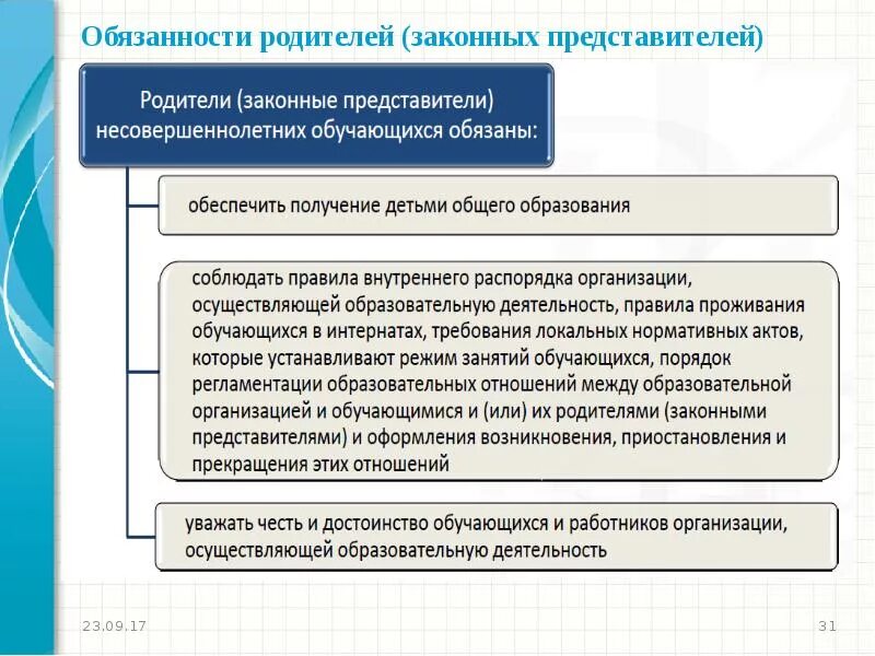 Обязанности представителя организации. Обязанности родителей. Обязанности законного представителя.