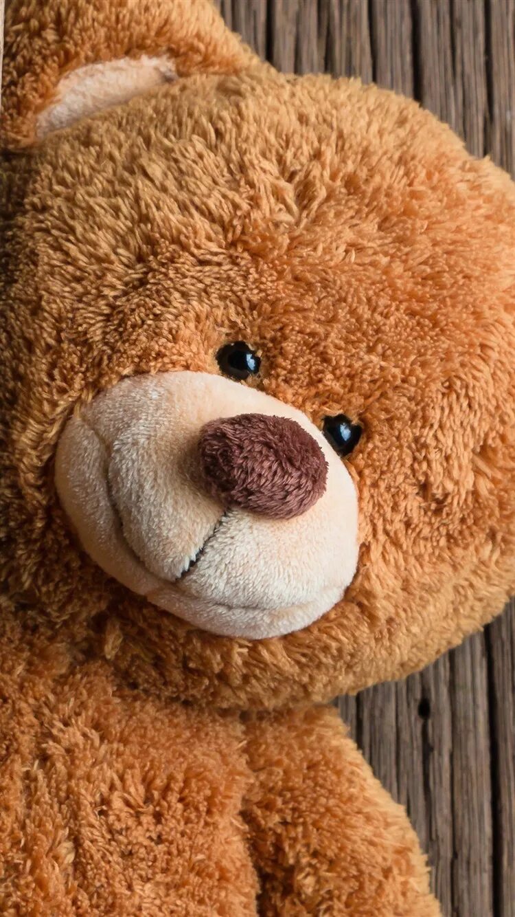 Teddy ruxpin игрушка. Плюшевый мишка. Плюшевый мишка. Привет плюшевый. Красивый плюшевый мишка.