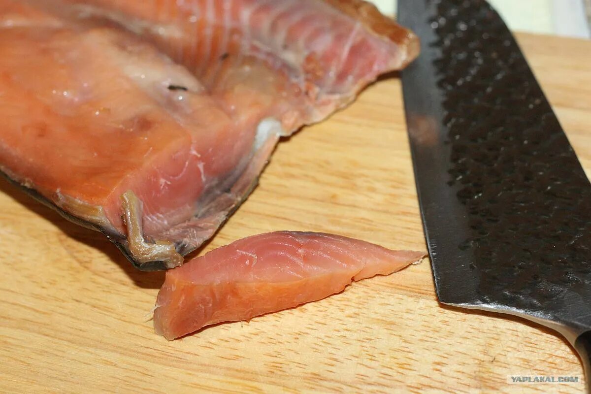 копчение рыбы паразиты