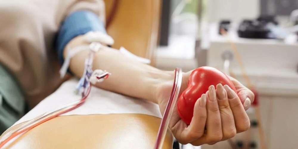 Донорство гомель. Донорство гомель