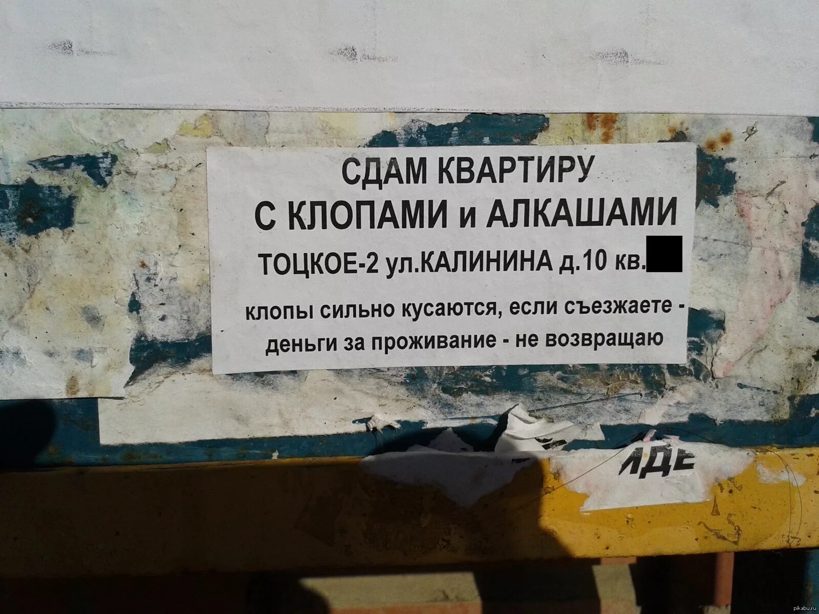 Объявление сдать в аренду. Смешные объявления о недвижимости. смешные объявления квартир. объявление прикольные квартиры. сдам квартиру прикол.