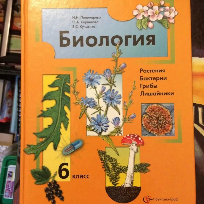 Учебник по биологии. Биология. 6 Класс. Учебник.