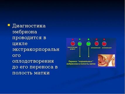 Эмбрионы после пгд форум