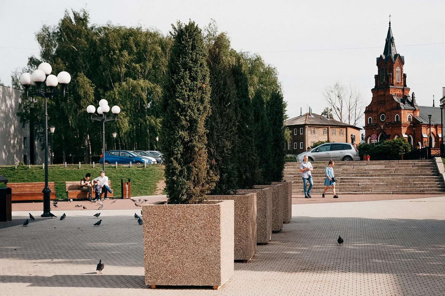 Деревья в историческом центре города. Деревья города Владимира. Театральный сквер.