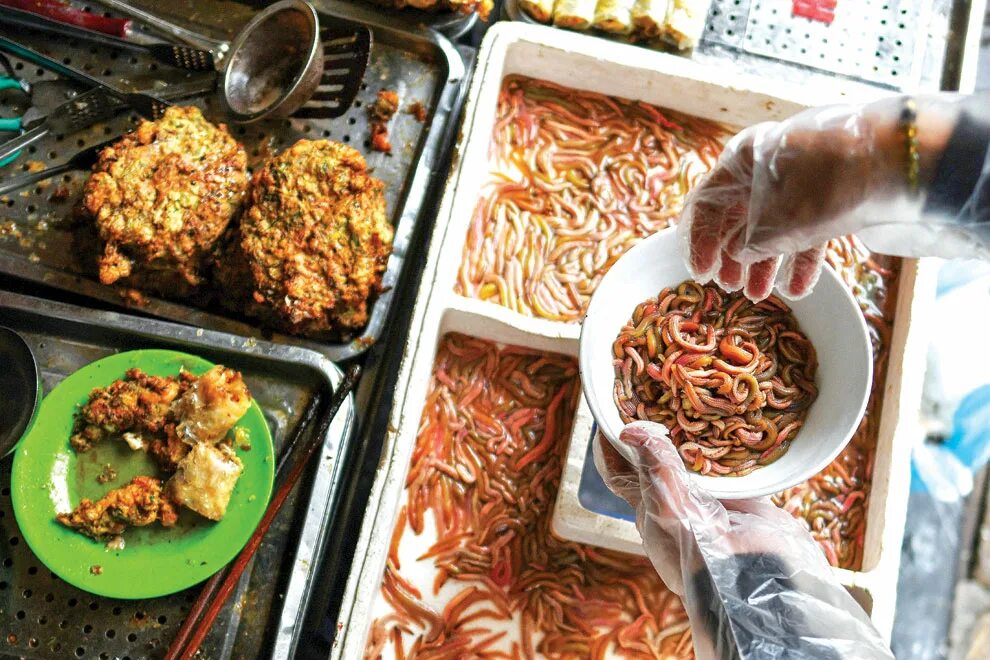 Где едят червей. Вьетнамские блюда с червяками. Жареные черви.