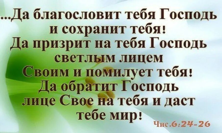 Благословить бы небо мог господский дом