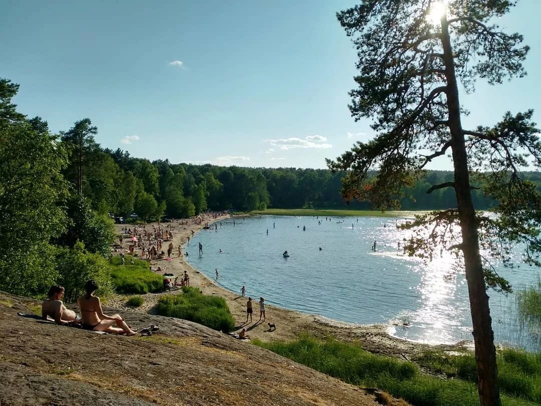 Жизнь на границе песка и воды Природа Карелии Дзен
