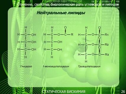Для резервных липидов характерно