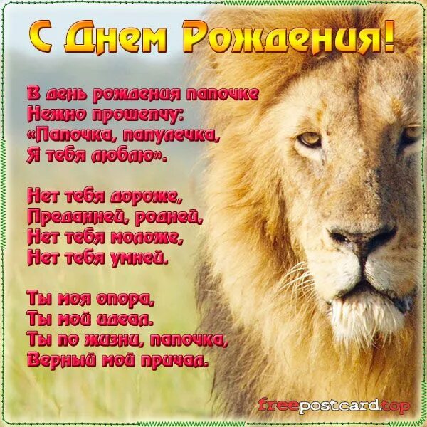 С днем рождения мужчине льву. С днем рождения лев. открытка с днём рождения лев. поздравление льва с днем рождения. поздравления с днём рождения мужчине льву.