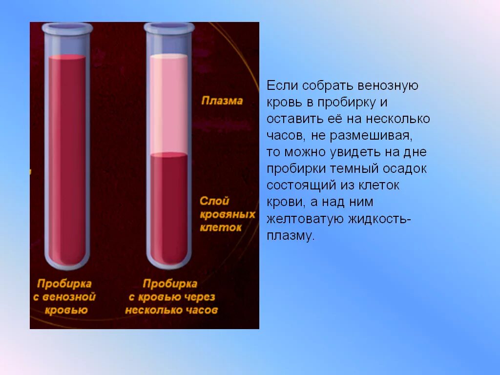 Плазма хранится при температуре. Плазма хранится при температуре