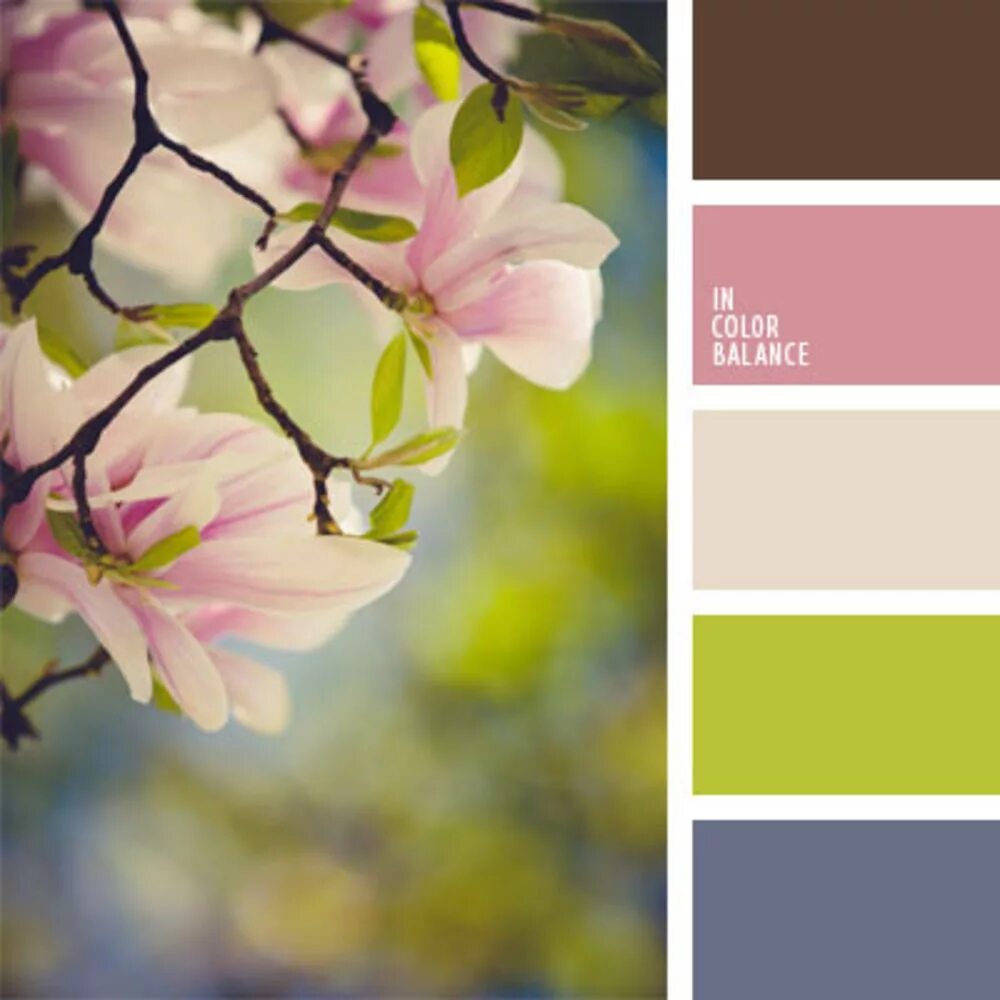 Цветовая палитра. Палитра весны. Весеннее сочетание цветов. Красивые сочетания цветов. Цветовые сочетания.