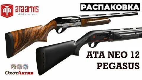 Ата нео 12 отзывы