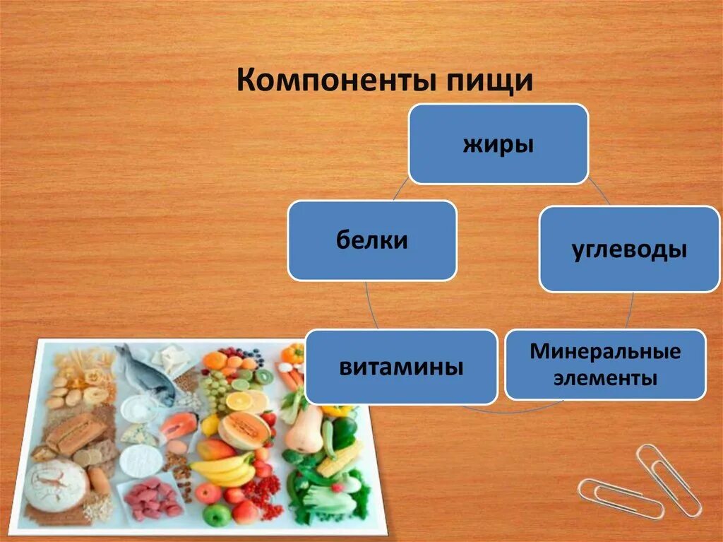 Функции питательных веществ белков жиров и углеводов
