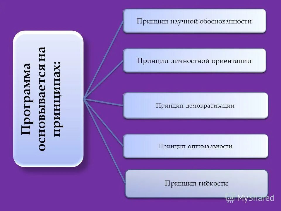 Принцип личностной ориентации. Принцип личностной ориентации