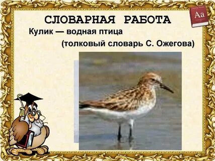 Словарь птиц