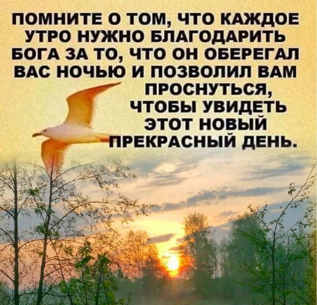 Что пожелать богу. Доброе утро с Богом. С добрым утром православные. С добрым утром с Богом. Пожелания доброго утра по православному.