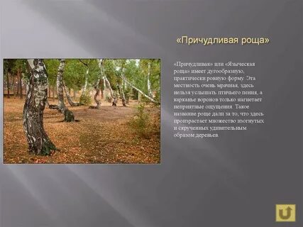 Имя роща