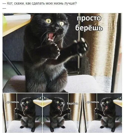 Кот говорит есть. Берешь и делаешь. берёшь и делаешь кот. просто берешь и делаешь. берёшь и делаешь кот мем.