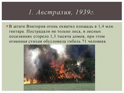 Сколько лет сгорело
