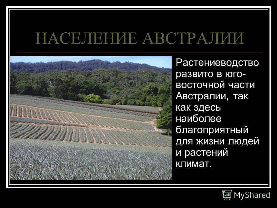 карта австралии хозяйственная деятельность. этнический состав населения. население австралии презентация. виды деятельности населения австралии. виды деятельности населения австралии.