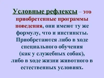 Условно рефлекторное поведение