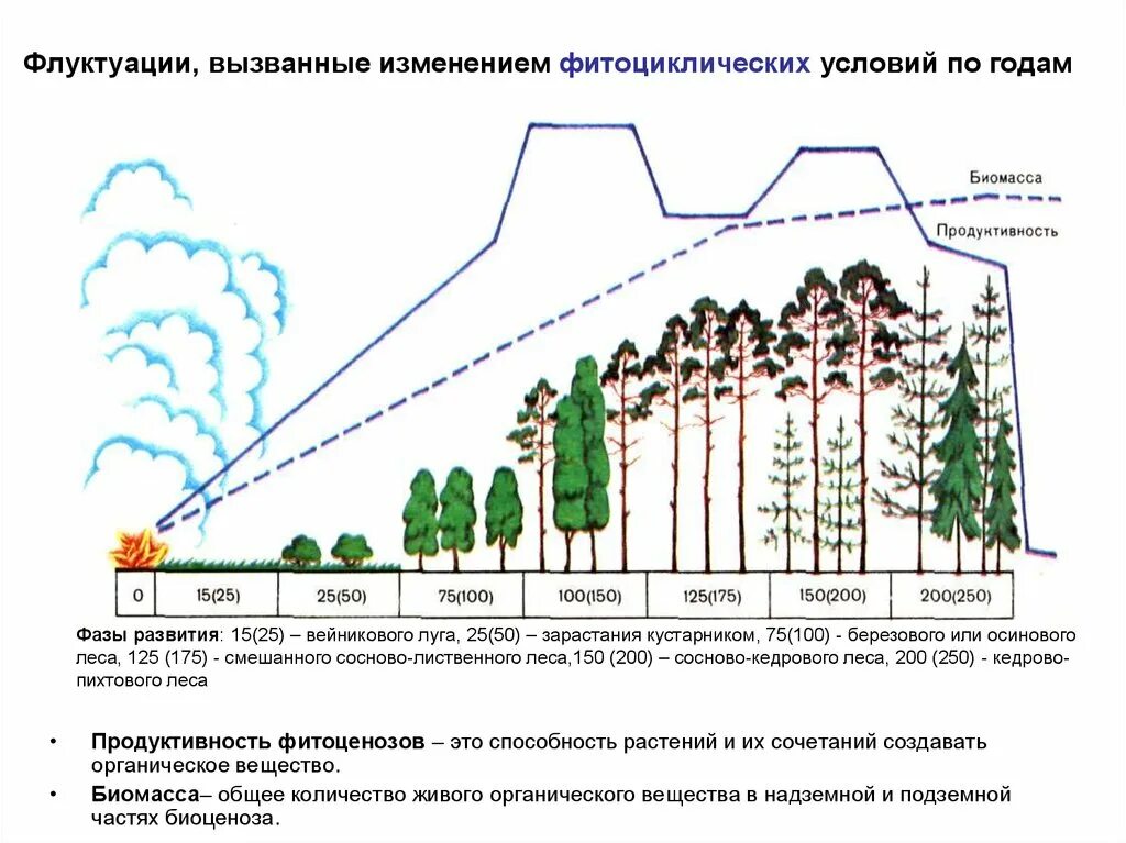 Этапы смены растительного сообщества. Экологическая сукцессия первичная и вторичная. Примеры вторичной (восстановительной) сукцессии. Пионерная сукцессия. Этапы вторичной сукцессии.