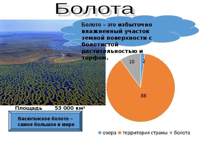 Большую часть земли занимает. Площадь болот в мире. Сколько процентов болота в России. Процент болот в мире. Самое большое по площади болота в мире.