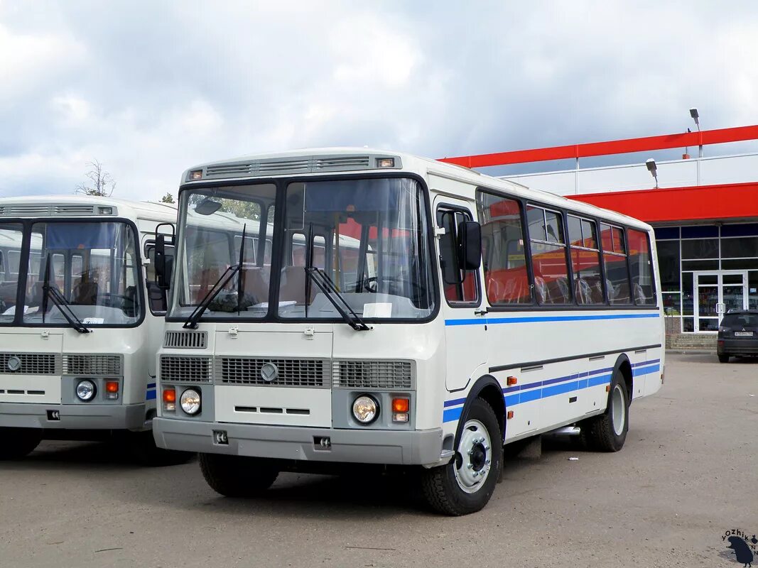 Купить автобус паз новый. ПАЗ 3205 пассажирский. Пазик ПАЗ 3205 новый. ПАЗ-3205/4234 новый. Автобус ПАЗ 5220.