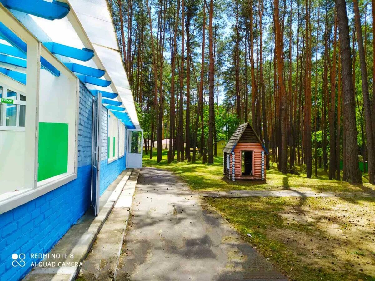 Березка ульяновск. Лагерь Березка Ульяновск. Лагерь Березка Ульяновск Ясашная Ташла. Дол Березка Ульяновск. Лагерь Березка оздоровительный Ульяновск.