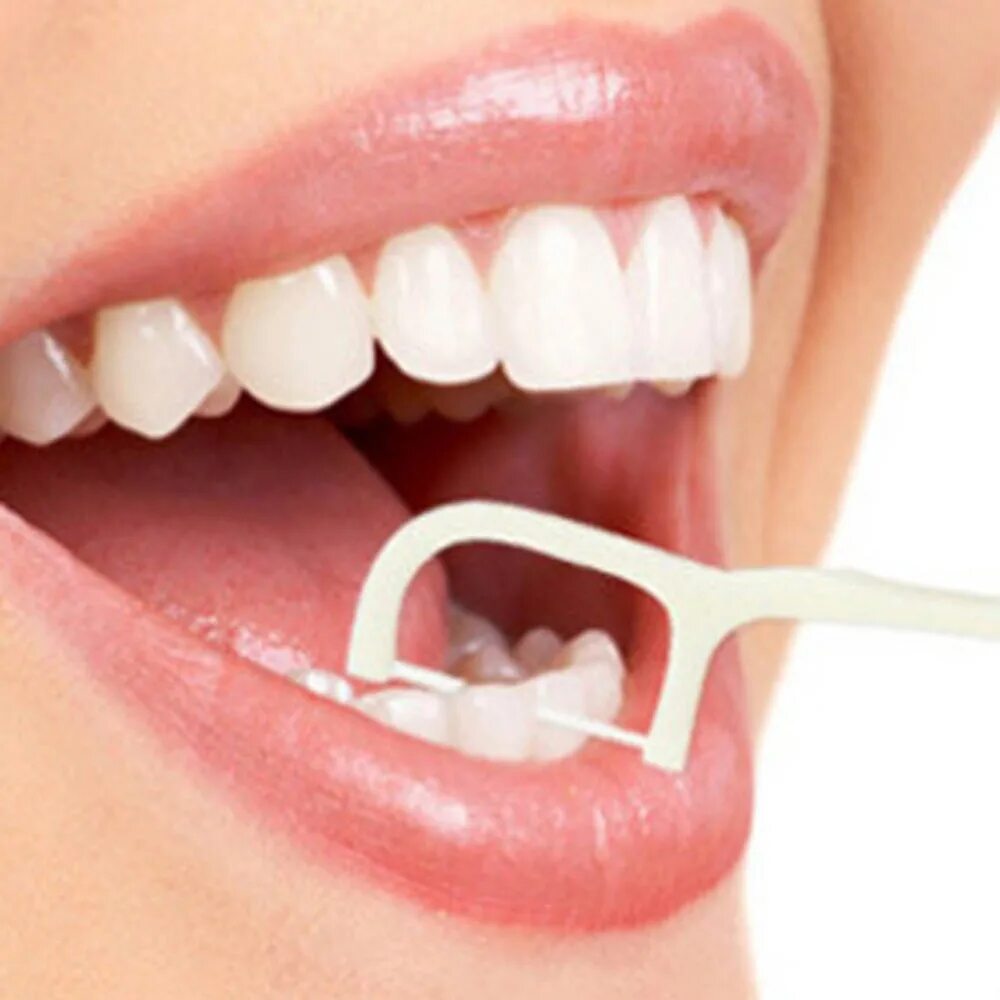 Модель полости рта. Профессиональная гигиена полости рта. Профессиональная гигиена зубов. Отбеливание и профессиональная гигиена полости рта. Зубы стоматология.