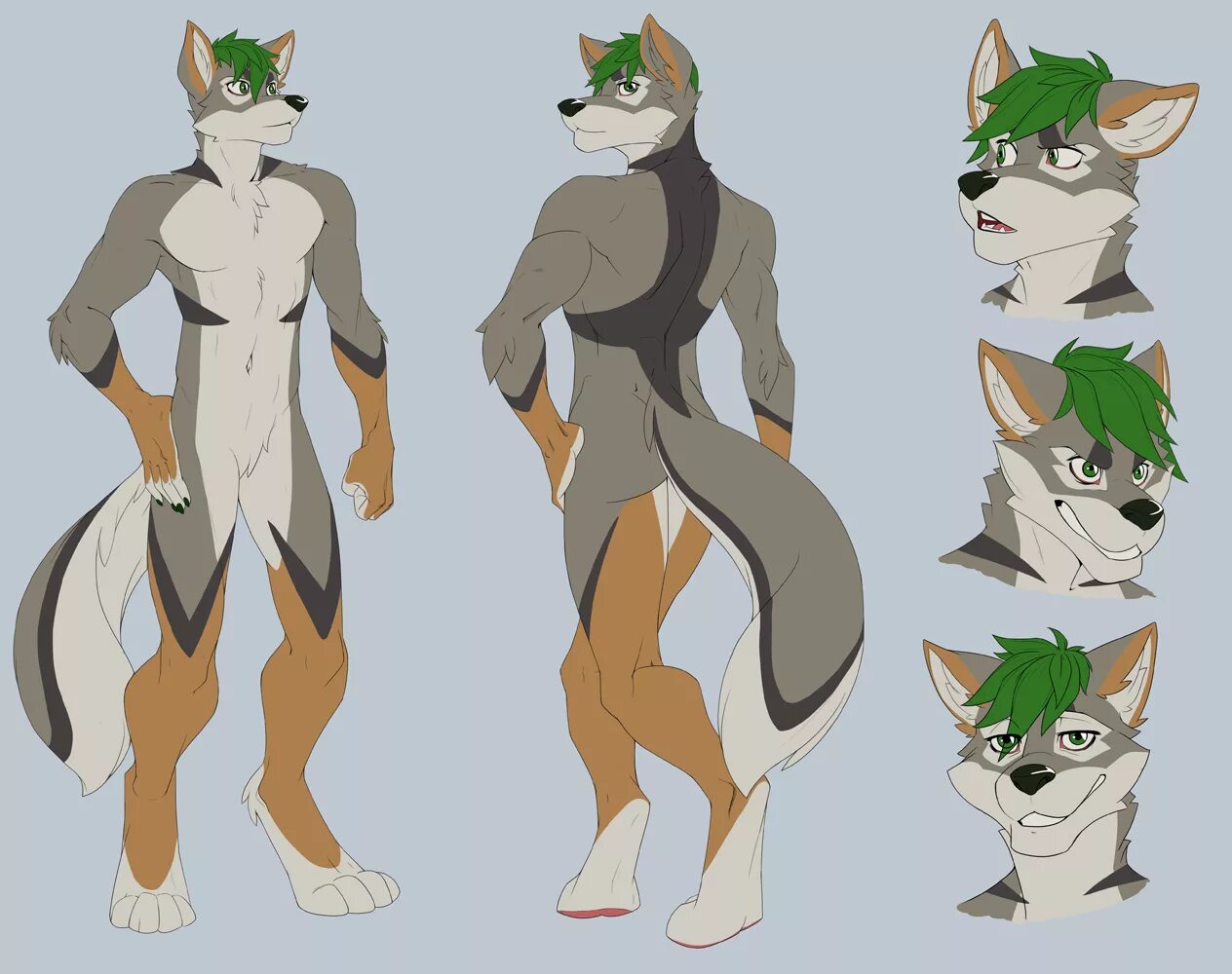 Фурсона волк. Фурри акула анатомия. Дино антро. Фурсона референс. Фурия референс.