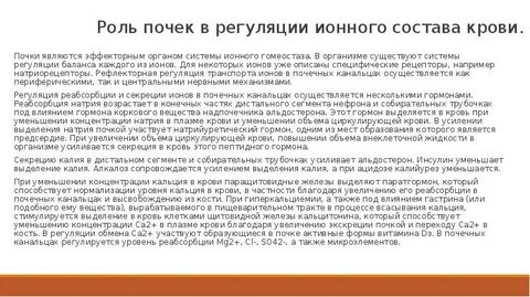 Почки участвуют в регуляции
