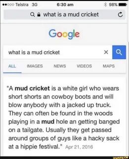 Mud Cricket Meme - Captions Trendy