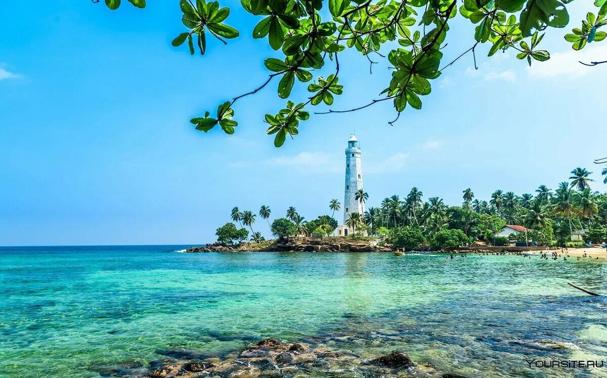 Остров в индийском океане Цейлон. Остров Цейлон Шри Ланка. Негомбо Шри Ланка. Синнамон Шри Ланка. Шри ланка на неделю