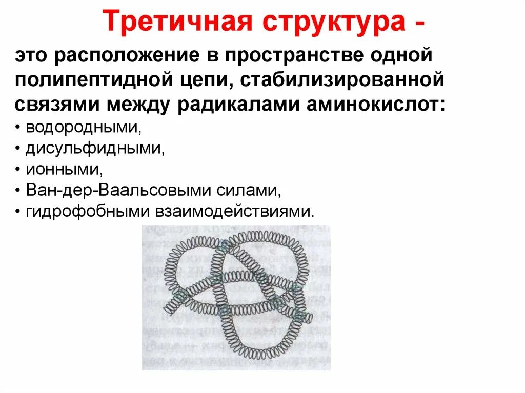 Третичная структура полипептидной цепи. Третичная структура. Третичная структура пептидов. Третичная структура пептидов и белков. Третичную структуру белка стабилизируют