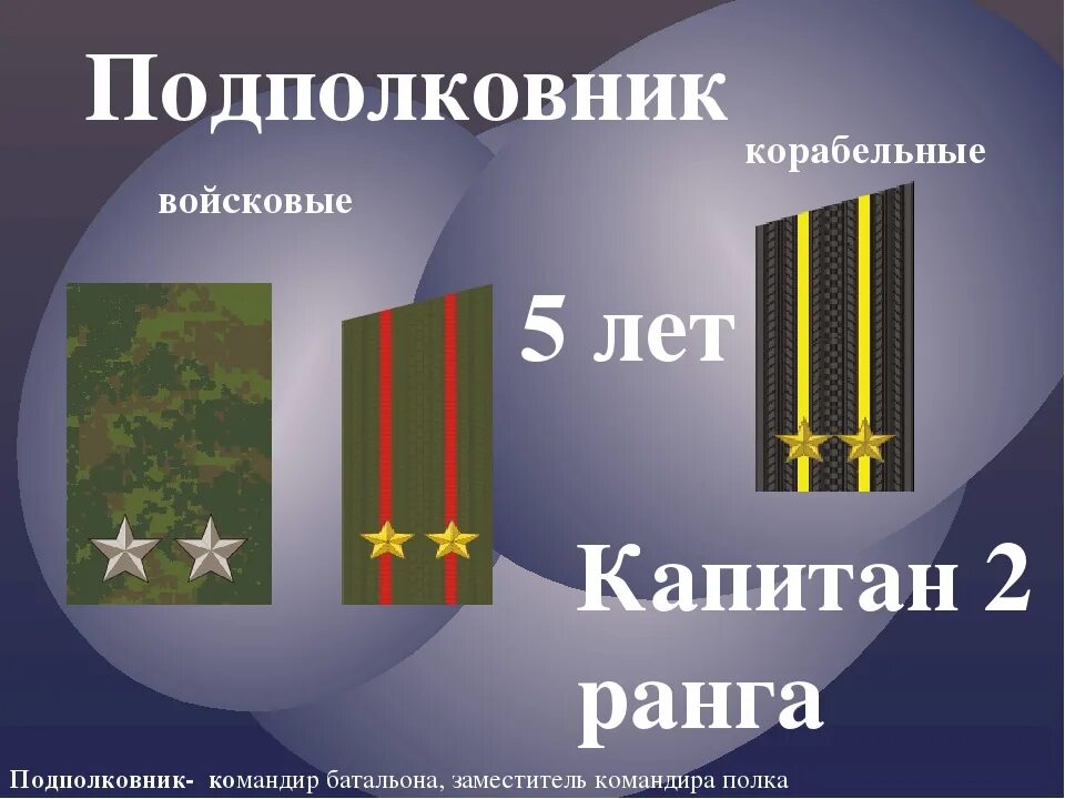 Командир батальона звание. Ранги в батальоне. Заместитель командира батальона звание. Подполковник звание. Должность командир батальона звание