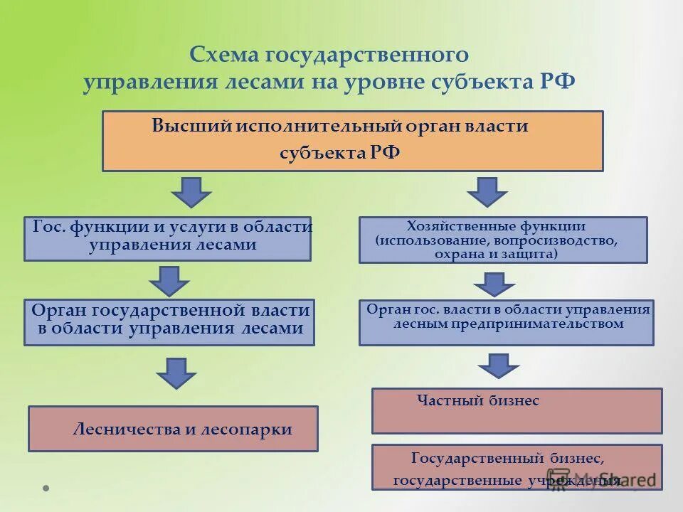 Управление здравоохранением на региональном уровне. Уровни субъекта управления. Субъект управления. Уровни управления в здравоохранении. Менеджер как субъект управления схеме.