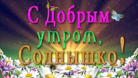 Доброе утро солнышко девушке картинки красивые