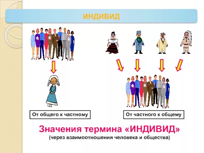 Т общего к частному. От общего к частному и от частного к общему. человек индивид личность индивидуальность. индивид и личность обществознание. личность это в обществознании.
