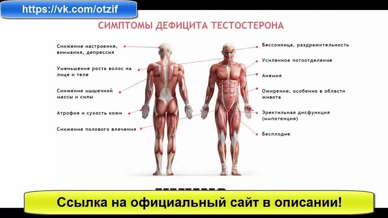 Снижается ли тестостерон при онанинизма. Признаки низкого тестостерона у мужчин. показатели высокого тестостерона у мужчин. причины пониженного тестостерона у мужчин. причины снижения тестостерона у мужчин.