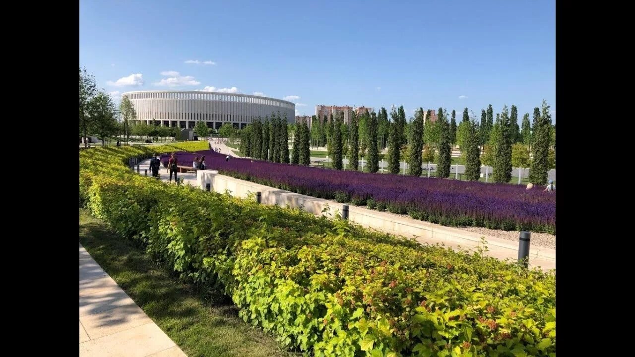 Стадион краснодар парк галицкого. Погода парк галицкого. Погода парк галицкого. Парк галицкого в краснодаре баобаб. Городской парк краснодара галицкого.
