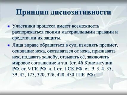 Принцип диспозитивности является