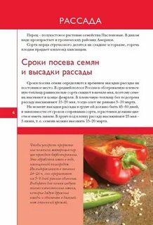Перец сроки
