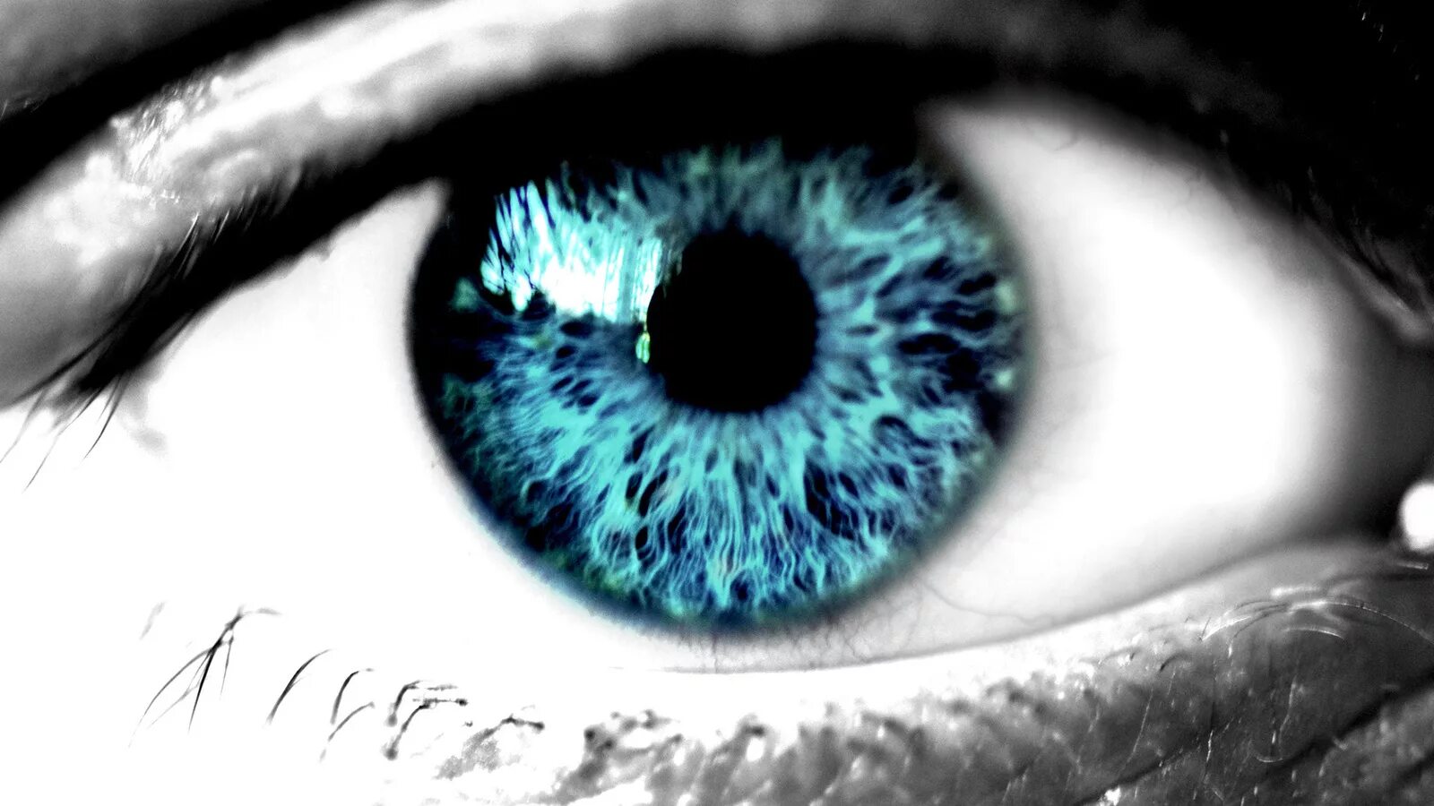 У меня голубые глаза на английском. Голубые глаза. Супер голубые глаза. Развеселые зрачки. Макросъемка голубых глаз.
