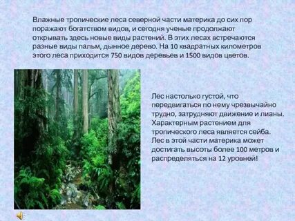 В чем состоит ценность тропических лесов