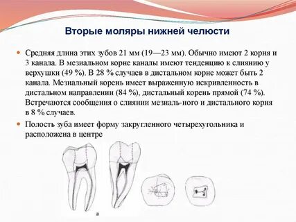 Двумя нижними и двумя верхними