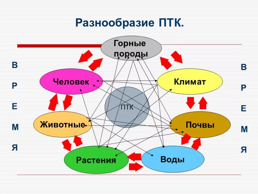 Птк часть. Схема природного территориального комплекса. Что такое ПТК В географии. Схема ПТК. Разнообразие ПТК.